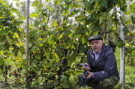 Куличев Александр Васильевич